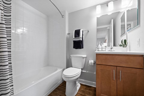 Contemporary Bathroom